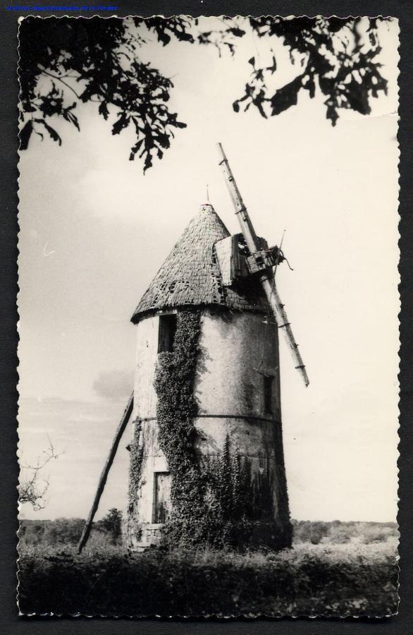 Moulin A Vent Le Champ Du Trail Villa Saint-Cyr-des-Gats Bagian luar foto